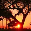 ⭐الكايد ⚡ (@0556544654) Twitter