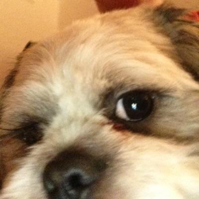 17 yr old youtuber,food addict,gamer,sleepy bitch follow for a follow