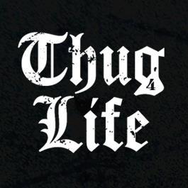 t4lchannel Profile Picture