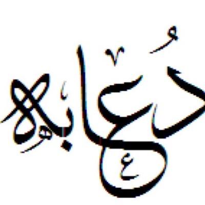 الخطير الذي لا يطير / ، / مهتم في الشيء الغير مهم في نظر البعض