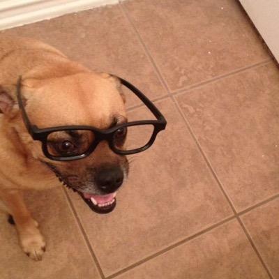 Unitysss's profile picture. Trickshotter