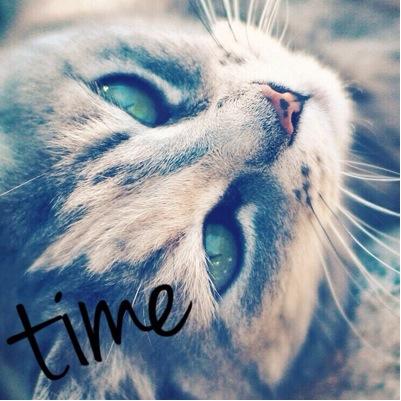 time25_twcs's profile picture. 帰ってきたよ。低浮上だけど。