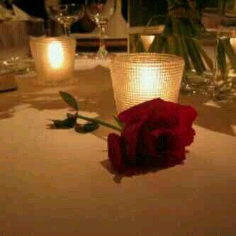 ‏‏‏❄ ‏‏‏‏‏لست شاعرا .. متذوق فقط اقتبس ما رآق لي ‏‏‏‏♥المفضله بنتظار مروركم المميز دومااا ‏‏‏♥