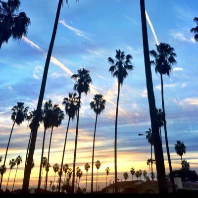 AdamCohen3's profile picture. 