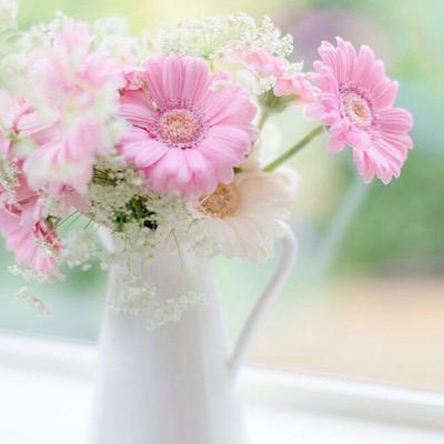 ﮼صاحبة،السمو