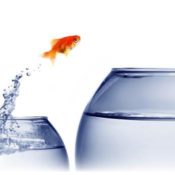 Interested in researching personal development techniques that enhance all areas of life. To see my research, go to... http://t.co/aMZWQWng19