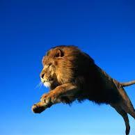 darko1886's profile picture. Nasza siła kończy się tam gdzie zaczyna się nasz strach.

Interesują mnie tematy które warte są dla mnie uwagi...