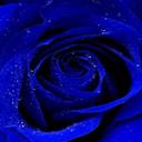 ada (@05459006703ada1) Twitter