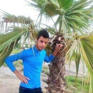 jjjj1234123's profile picture. 