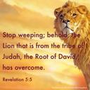 Dave Holding - @DaveHolding - Twitter