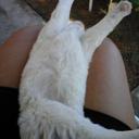 Olga Avalos - @avalosolga10 - Twitter