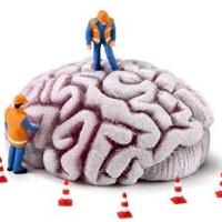 Psikolog Ankara (@psikolojiankara) 's Twitter Profile Photo Psikolog Ankara (@psikolojiankara) 's Twitter Profile Photo