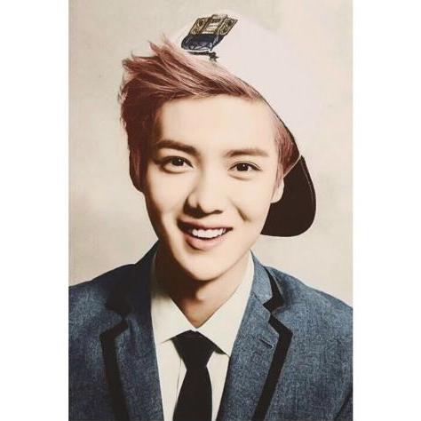 xi luhan's roleplayer