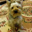 Travis Stark - @crenail756 - Twitter