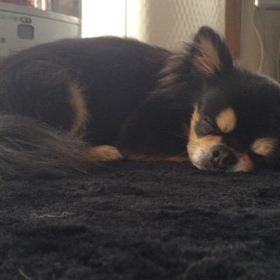 lm314v121's profile picture. 河南→盛岡市立→駒澤 文 地文→社畜の足/岩手→埼玉→江古田/ ヤクルトスワローズ応燕中/浜崎あゆみ/LiSA/田中みな実/有村架純/今田美桜/松岡茉優/赤と白のアパレル社畜でした/ミュート推奨