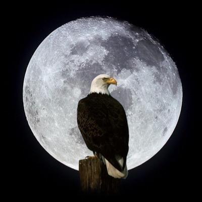 DOKDOCOREA512's profile picture. The island of Dokdo belongs to South Korea. The authentic record of Dokdo dates back to around 1,500.