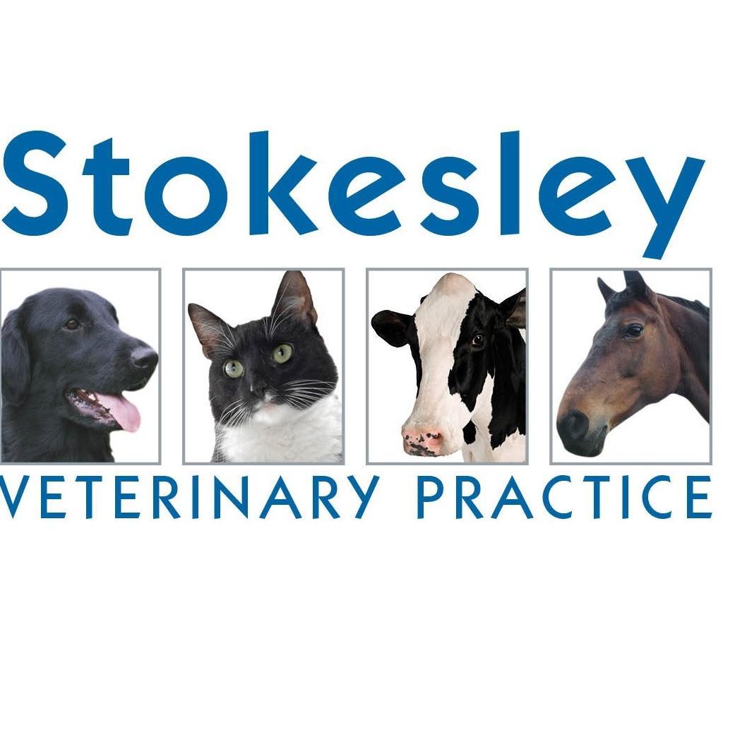Please follow us for updates on animal care, special offers and for lost and found pets in the Stokesley and North Yorkshire areas.
