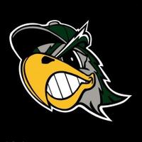 Silver Hawks (@silverhawksball) 's Twitter Profile