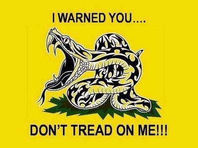 WadeGSP's profile picture. Conservative  / Believe in the Constitution / Fly Fishing