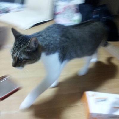未来妄想投資してます。
資産10倍頑張ります。