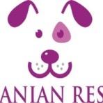 Ran by volunteers, we rescue and re-home stray Romanian dogs. Help us to help them. Charity no: 1160999