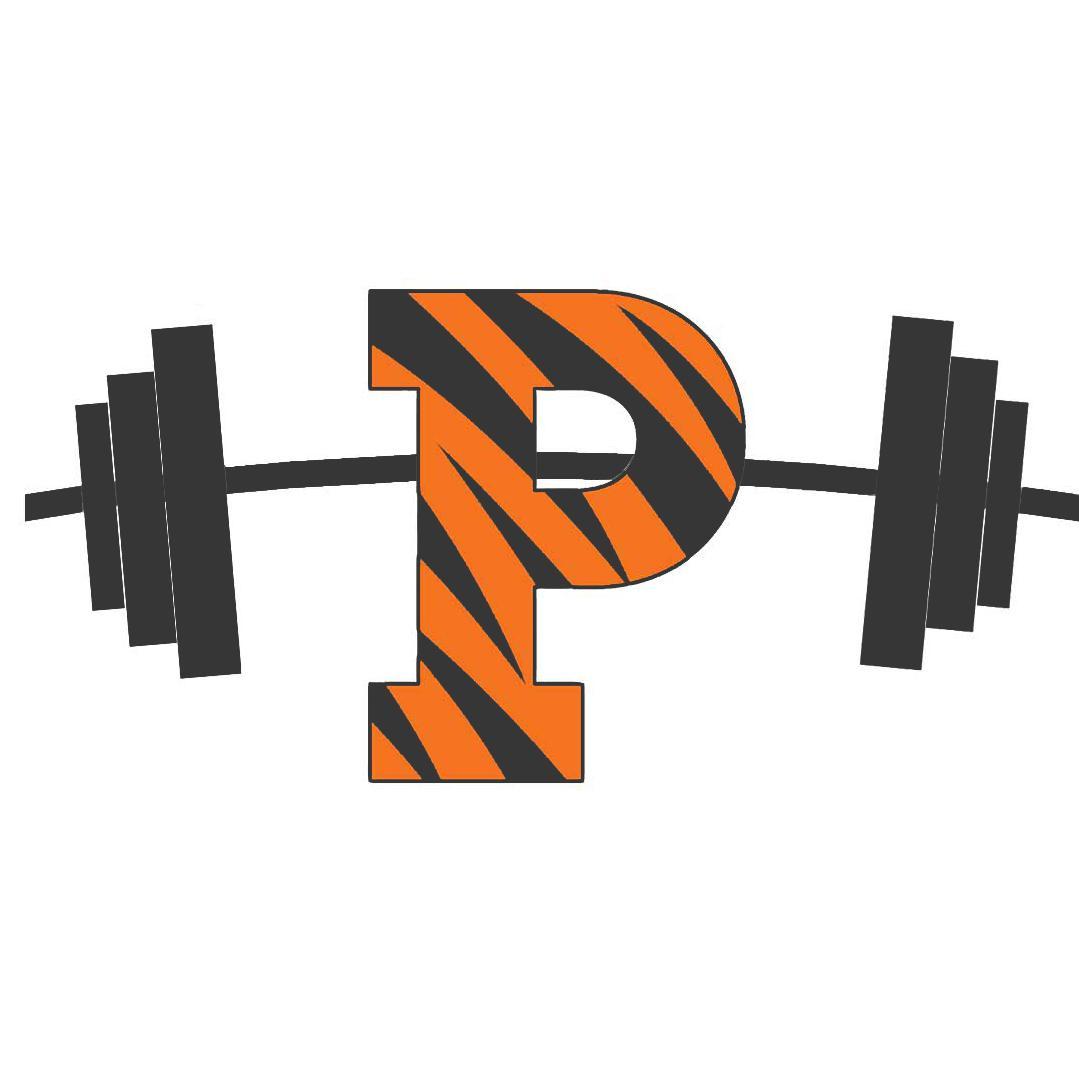 PUTigerPerformance Profile