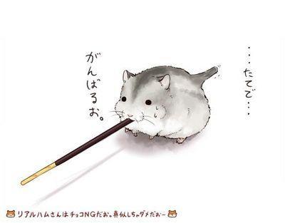 死ぬほど貴方が好きだった。