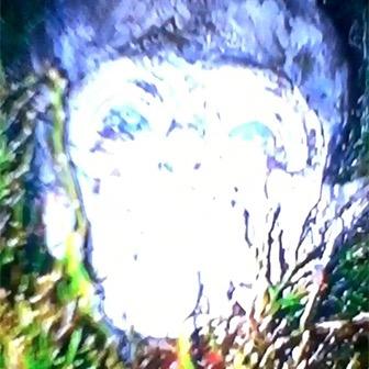 IlkleyAlien's profile picture. Old Cine film footage of Alien found on Ilkley Moor