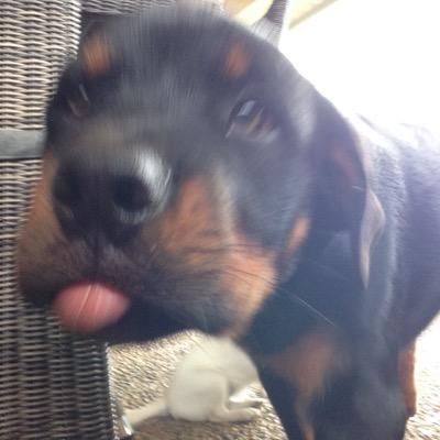 yawns oh what the fuck