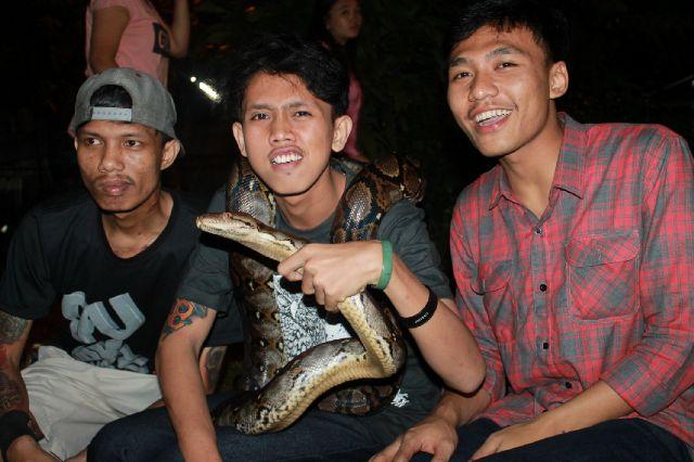 ROCKENxSRAIGHT