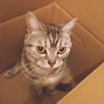 ♥️ 引用なしに思想はパクっちゃだめ！今まで何人かの著名人や知識人に思想をパクられてきました♥️引用はちゃんとしてね！じゃないと、法的手段とりまーす。似ているツイートはどんどんRetweetとして証拠に残します♥️