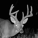 thebuckmanager's profile picture. 