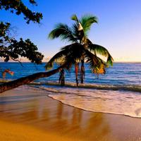 JS Travel (@travel_js) 's Twitter Profile