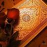 sosoommm's profile picture. عندما نعطي الله المكانه الأولى في حياتنا تأخذ الأشياء الاخرى مكانها الصحيح. Riyadh