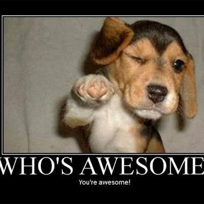 Profile Picture of Grace House (@GraceHouseDrum) on Twitter