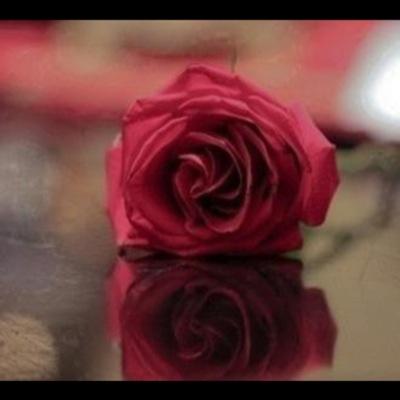 wjutfgf's profile picture. لدي احلام كثيره واجملها رضا ربي عابره ولن يطول البقاء الخاص مراقب من الله عز وجل.