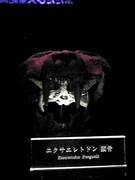 石橋を叩いて壊す慎重（臆病）派。期待以上を期待して期待しない生き方。爪の無い鷹。弾かないキリギリス。
英検2級、簿記3級