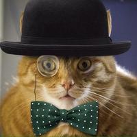 Johnny coolcat(@Johnny_coolcat) 's Twitter Profile Photo