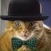 Johnny coolcat (@Johnny_coolcat) Twitter profile photo