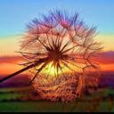 lisa nault - @lnault1 - Twitter