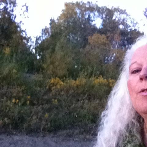A Feminist Queer retired disabled librarian/information worker and activist.