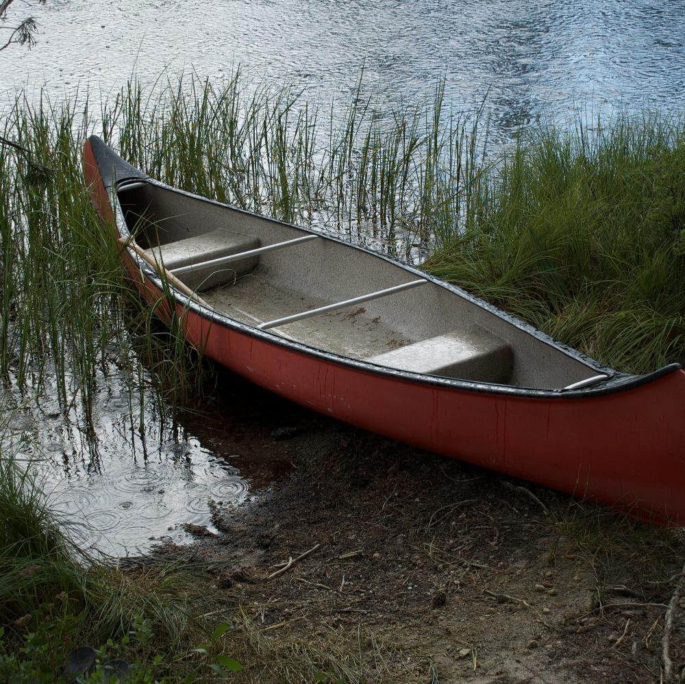 TFemenella's profile picture. 