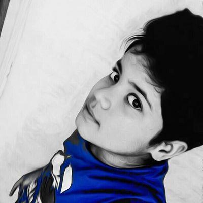 nippolambert19's profile picture. 