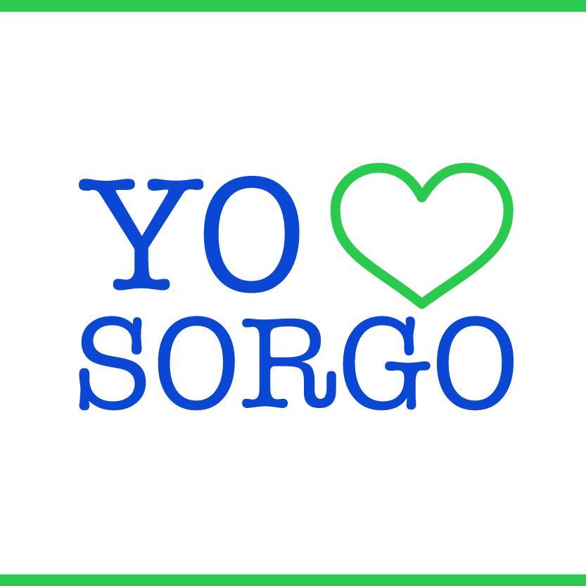 Yoamoelsorgo's profile picture. 