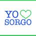 Twitter Profile image of @Yoamoelsorgo