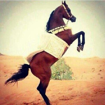 kmmk002211's profile picture. 