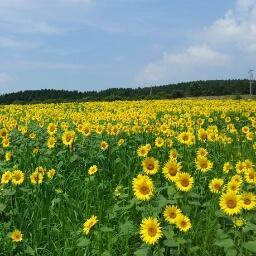 目前正經營著自己小小的YT頻道，希望各位會喜歡~