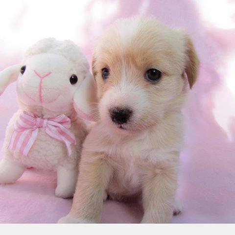 AksKaushalya's profile picture. 