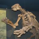 Virgil Stephens - @vs_pix - Twitter