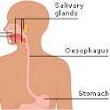 Working to raise awareness of oesophageal cancer and heartburn